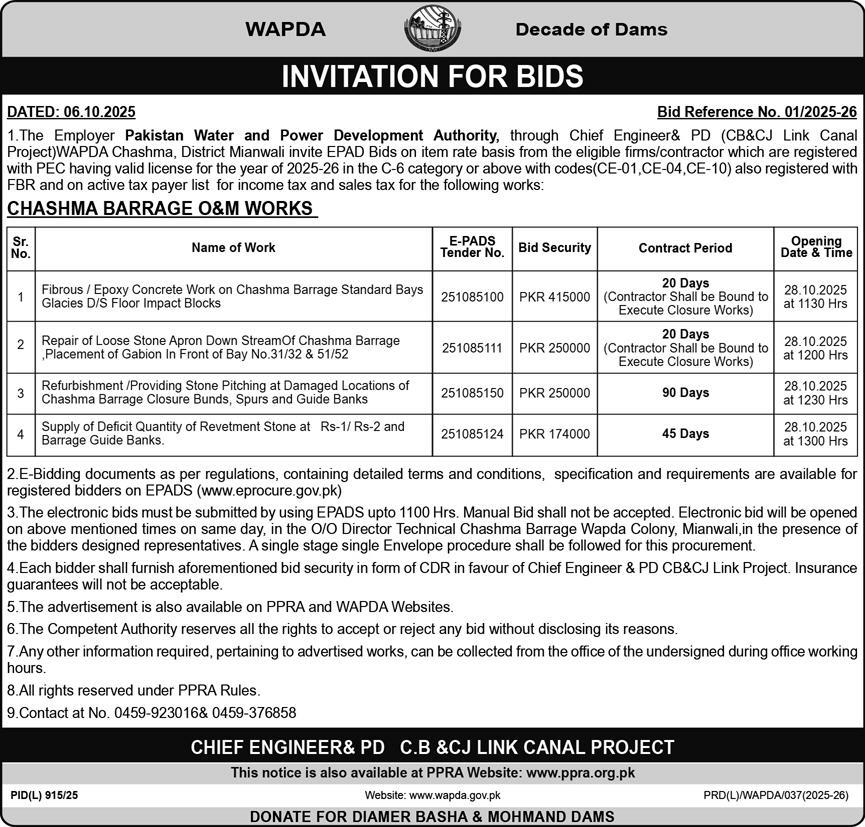 WAPDA Basha & Mohmand Dam Tender Notice